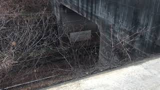 MNRTTV鉄道日記 2021年2月15日