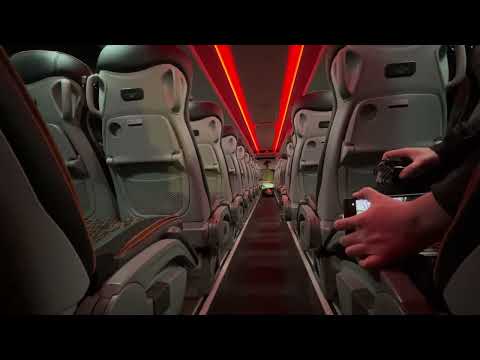 Thrash! YK74OZW | Yutong GT12 | Tamar Coaches