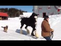 IMG 0217