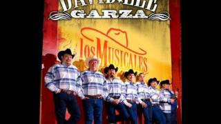 David Lee Garza - Poquito A Poco