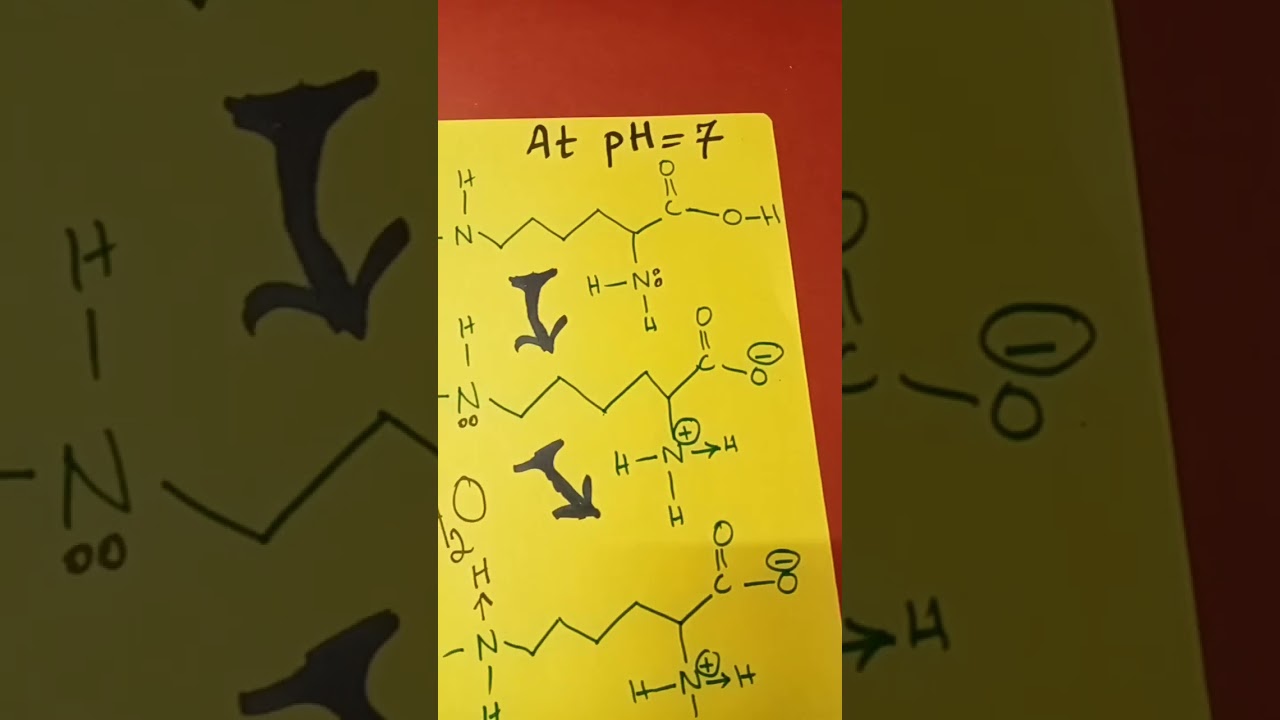 Lysine at pH 7 chemistry paper 9701/42 Winter 2022 Q 9 part 1