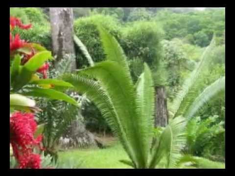 Fantatro 'Lay mihazona ny ampitso -I KNOW WHO HOLDS TOMORROW(A.Randrianaivoson)