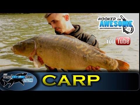 CARP FISHING - BITE TIME - Episode 1 - TAFishing Show
