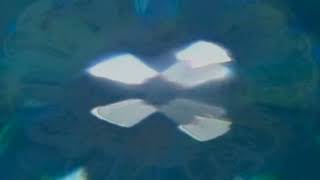 Sense - Light Blue
