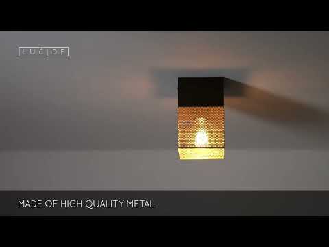 Lucide 21123/01/02 - Ceiling light RENATE 1xE27/40W/230V