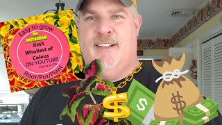 How I make money Selling my Coleus at Farmers/Flea Markets...You can too!! + Outdoor Tips