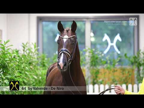 Verden Stallion Licensing 2021 - Dressage -  Nov. 4-6 - No. 64 Stallion by Valverde - De Niro