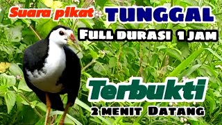 Download lagu SUARA PIKAT BURUNG RUAK RUAK TUNGGAL TERBUKTI 2MENIT LANGSUNG DATANG ( BITDRAP ) full 1 jam. mp3 Download lagu SUARA PIKAT BURUNG RUAK RUAK TUNGGAL TERBUKTI 2MENIT LANGSUNG DATANG ( BITDRAP ) full 1 jam. mp3