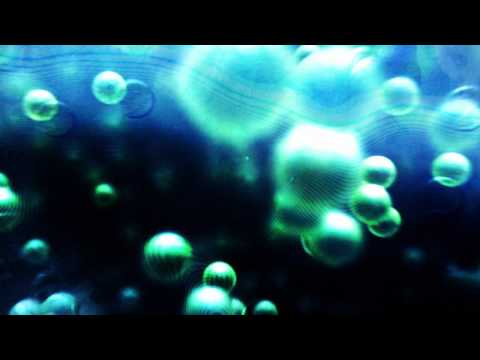 WoO - Life Bloom (Pharmafabrik FSV2)