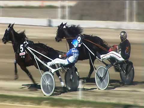 Trotto 16/09/2018 - 2ª corsa