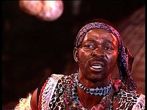 Phuzekhemisi - NPA (Official Music Video)