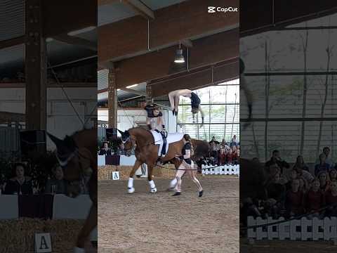 Voltigieren🤩 #viral #trend #equestrian #cute #edit #pony #horses #love #voltigieren #flickflack