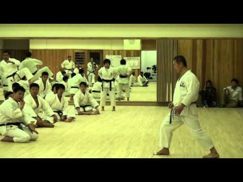 Kagawa Shihan explains the correct way of lifting the knee when doing yoko geri keage