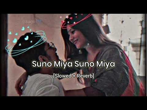 Suno miya suno miya "Sajan re jhooth mat bolo" Slowed and reverb song