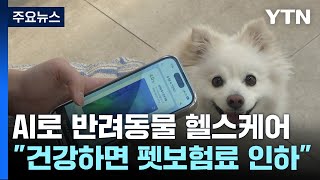 AI로 반려동물 헬스케어..."건강하면 펫보험료 인하" / YTN