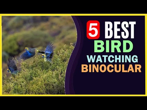 🔥 Best Binoculars for Bird Watching in 2022 ☑️ TOP 5 ☑️