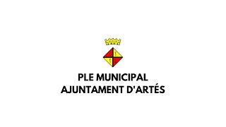 Ple Ordinari del 15 d'octubre de 2026
