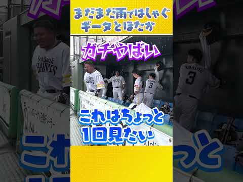 雨ではしゃぐ選手たち #柳田悠岐 #山川穂高 #近藤健介 #sbhawks 来年こそは晴天で勝利を！雨の中熱い応援ありがとうございました