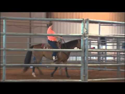 Ken McNabb: Starting Young Horses