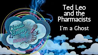 Ted Leo and the Pharmacists - I'm a Ghost - karaoke - instrumental