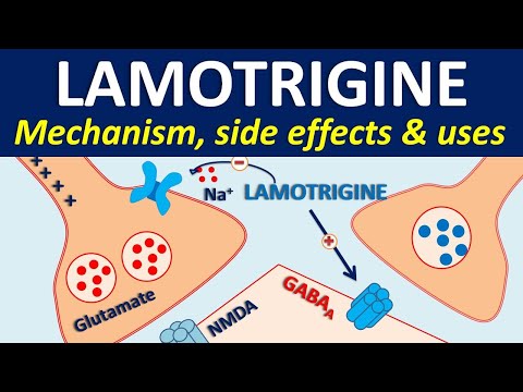 Lamotrigine dispersible 100mg tablets