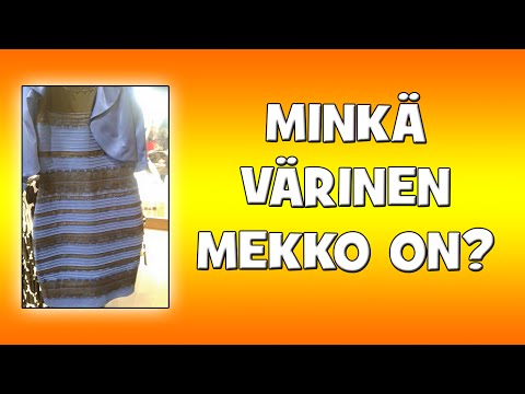 MINKÄ VÄRINEN SKANDAALI MEKKO ON?! [Vastaus]