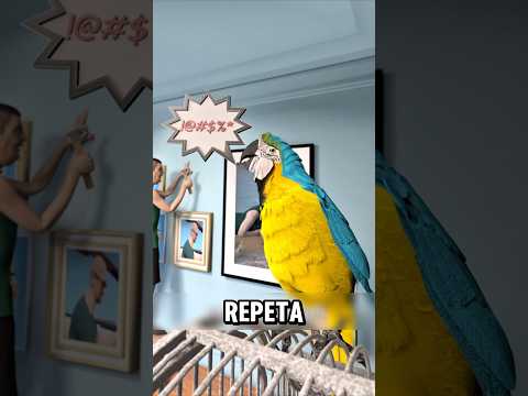 DACĂ SPUI O ÎNJURĂTURĂ PAPAGALI O POT REPETA PERFECT(credits:@zackdfilms)