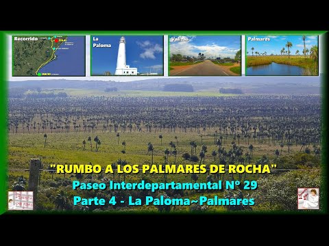 RUMBO A LOS PALMARES DE ROCHA - Parte 4 - Interdepartamental 29