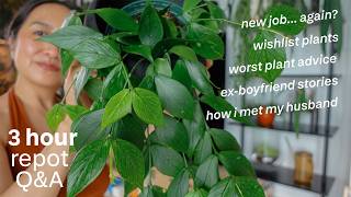 spilling the tea and repotting | 3 hours of plant repotting!