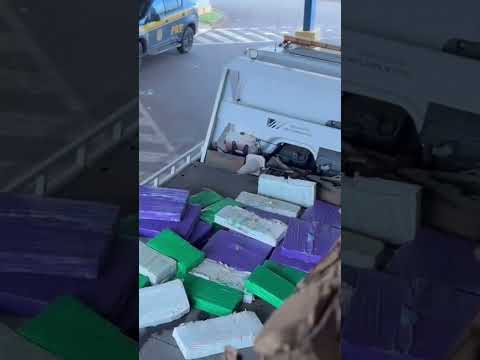 PRF apreende quase três toneladas de maconha em Francisco Alves (PR) 13/09