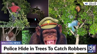 Police Hide in Trees To Catch Robbers