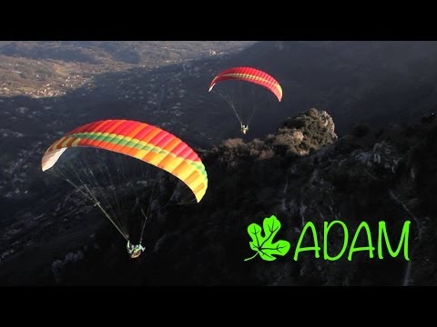 Adam - Safety in colours