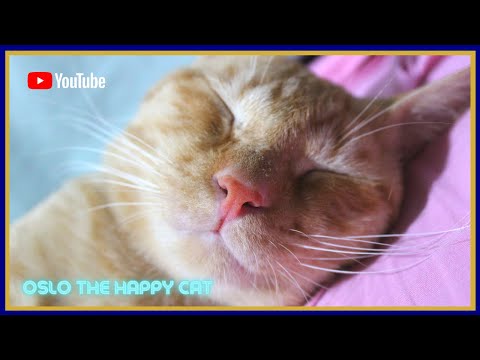 RAINY DAY | BED WEATHER