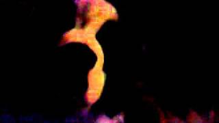 MOV00219