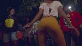 Beenie Man - Party Vibez Nice [Official Music Video]