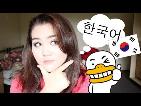 LANGUAGE PROGRAM TO HELP YOU LEARN KOREAN!