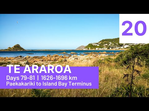 S01E20 Te Araroa | Days 79-81: Paekakariki to Island Bay Terminus