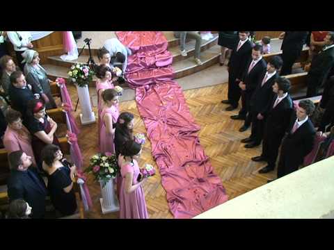 Nunta BENI&CRISTINA - Intrarea mirilor - Andrei CANDRIANU - Lusu AGHENITEI si ....