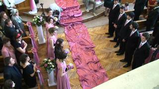 Nunta BENI&CRISTINA - Intrarea mirilor - Andrei CANDRIANU - Lusu AGHENITEI si ....