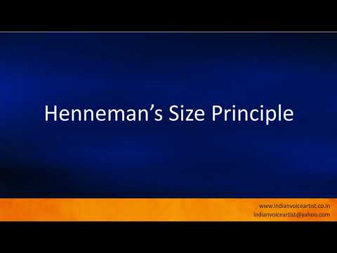 Pronunciation of the word(s) "Henneman’s Size Principle".