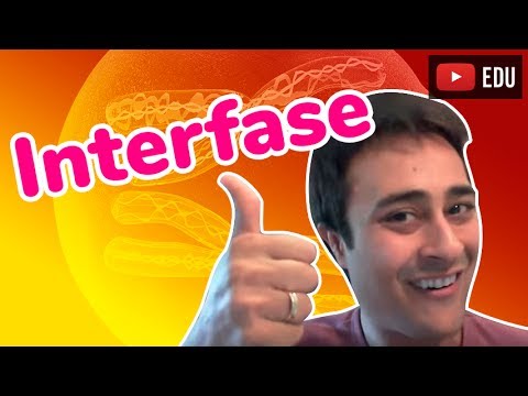 Interfase - Ciclo Celular - Divisão Celular - Prof. Paulo Jubilut