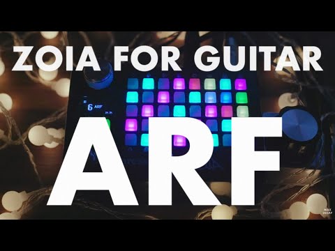 Empress ZOIA Guitar Demo – ARF