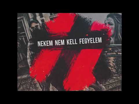 fhr mk x Dinaro The Mad Dog  - Ananas (km: Varga Rita)