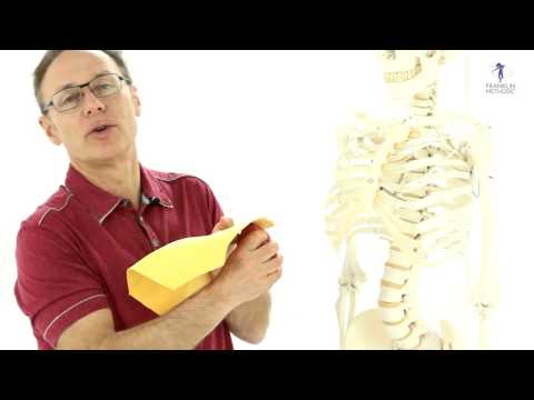 Infektion Erkrankung der Gelenke Gegenanzeigen in Coxarthrose Hüfte