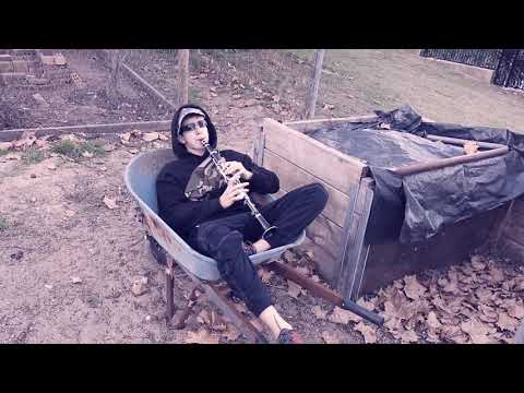 Happy (Pharrell Williams)  Clarinet cover by Mister Clarinet