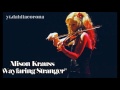 Alison Krauss - Wayfaring Stranger Live