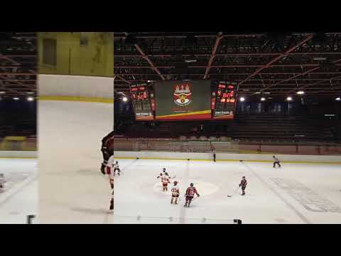 MAR23 2019 HK RUZINOV'99 vs HK Gladiators Trnava U12 score 9:4
