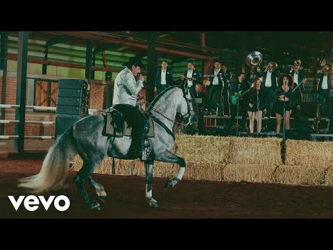 José Manuel Figueroa - Amor Limosnero (En Vivo)