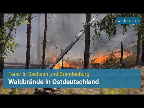 Vermehrt Waldbrände - Schwierige Löscharbeiten in Brandenburg