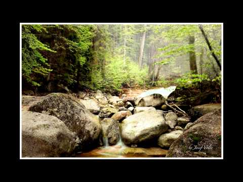 Josef Voltr - Blíž k tobě, Bože můj